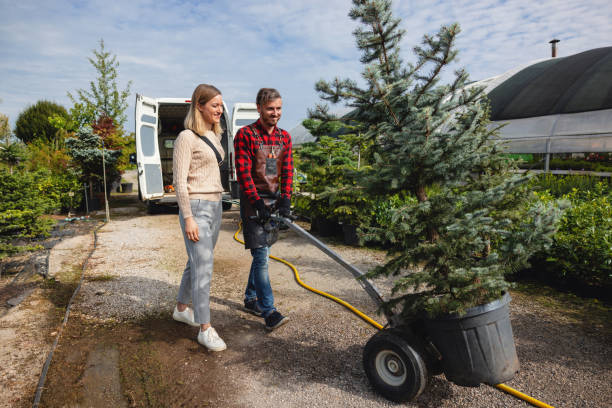 Best Tree Branch Trimming  in Union City, CA